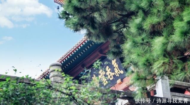 走街串巷遍寻美食,舌尖上的武汉,果然名不虚传!