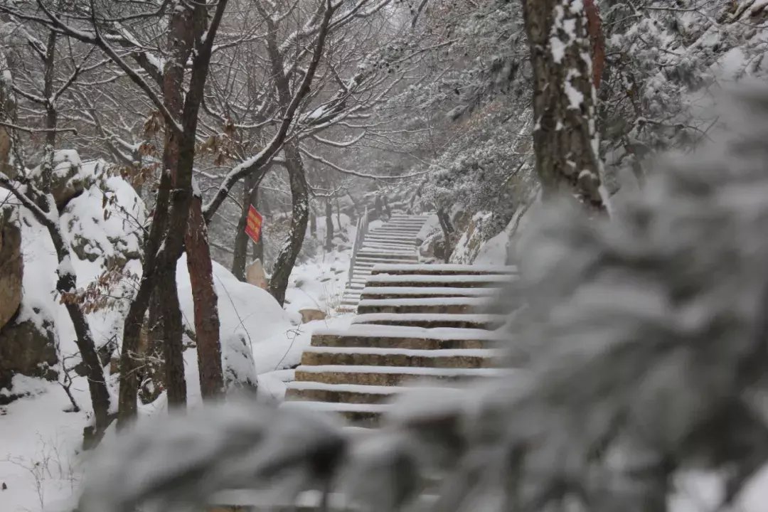 昆嵛山|一场冬雪后，昆嵛山竟变成这样……