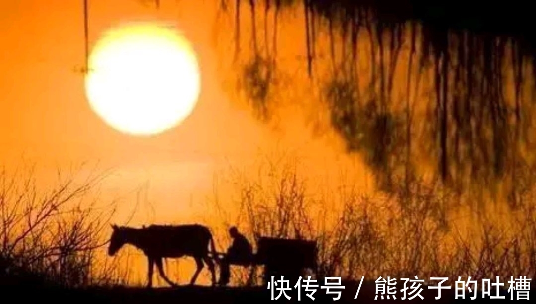 野渡征联|野渡征联第三期:晴窗徊雁影,诚征下联