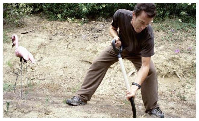 肾功能|男人肾好,一般有这五个“共性”,中年人能占俩,就证明肾很厉害