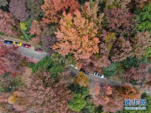 北京颐和园|五彩岭南