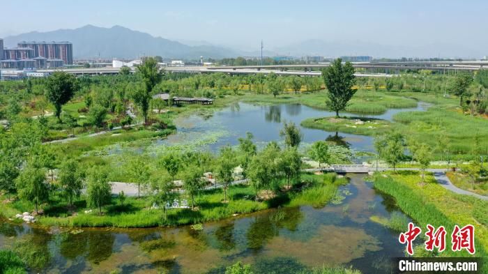 “十四五”期间北京市将添50处小微湿地