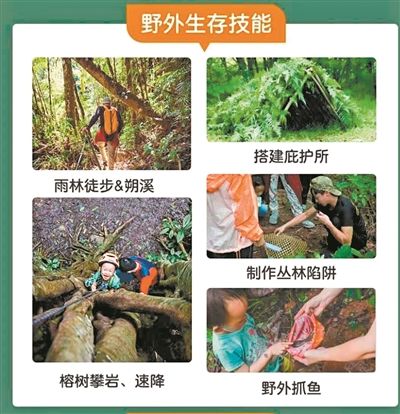 中年|国内游复苏加速 春游正当时