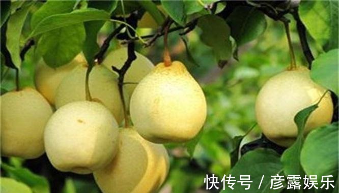 营养物质|女性想要身体好，3种食物换着吃，补充营养，身体棒棒哒！