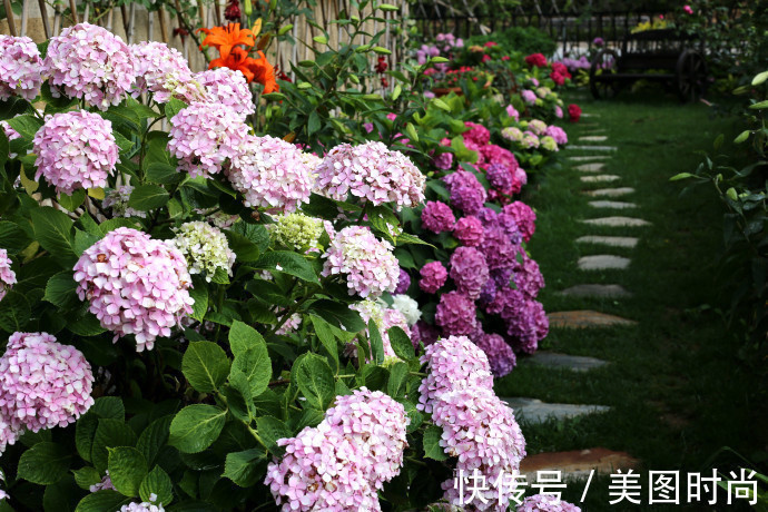 阳台上|为建花园,不顾反对买了一楼带院子,3年的亲手布置朋友都羡慕了