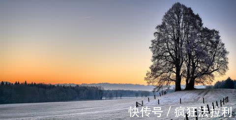 领导|处事圆滑，升职在即,领导关怀，家庭和睦的4大生肖