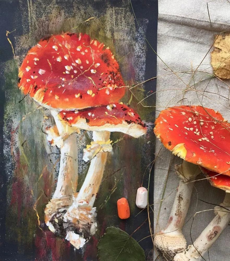 鲜花!太疯狂了!原来用粉笔画画,也可以这么美,简单几招教你,美到邻居羡慕嫉妒