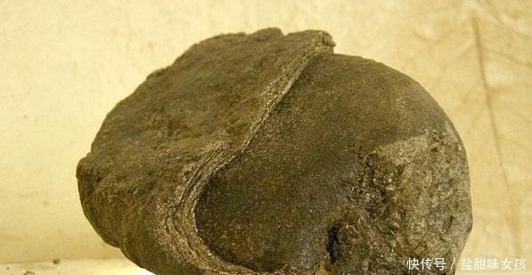 粪便|世界上最值钱的粪便没有之一,捡到一块一辈子不愁吃喝!