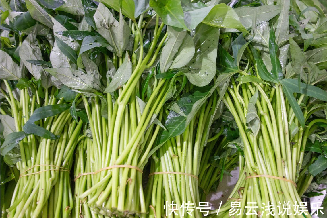 红薯|炒红薯叶，不能直接下锅炒，教你一招，红薯叶香嫩爽口，不发黑