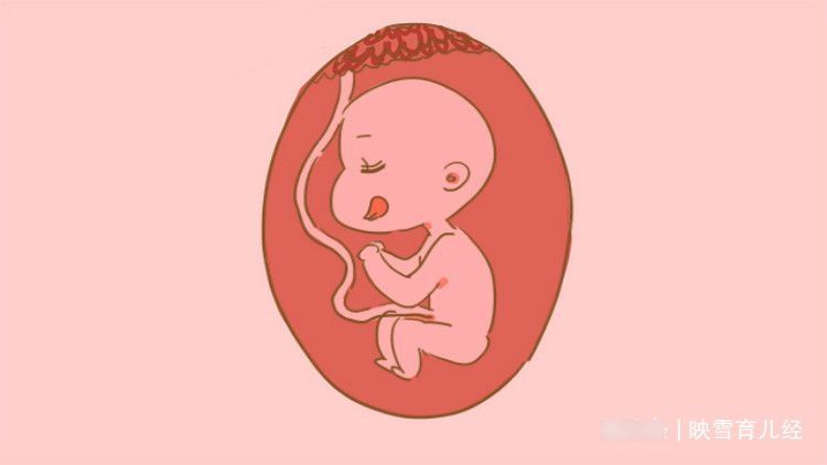 生命|新生命降生后嚎啕大哭，是宣告降生？还是另有隐情