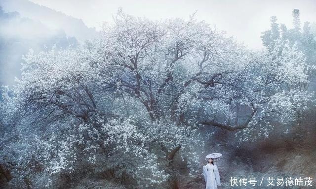 王阳明&学会一个“藏”字,进可显赫闻达,退可修心保身