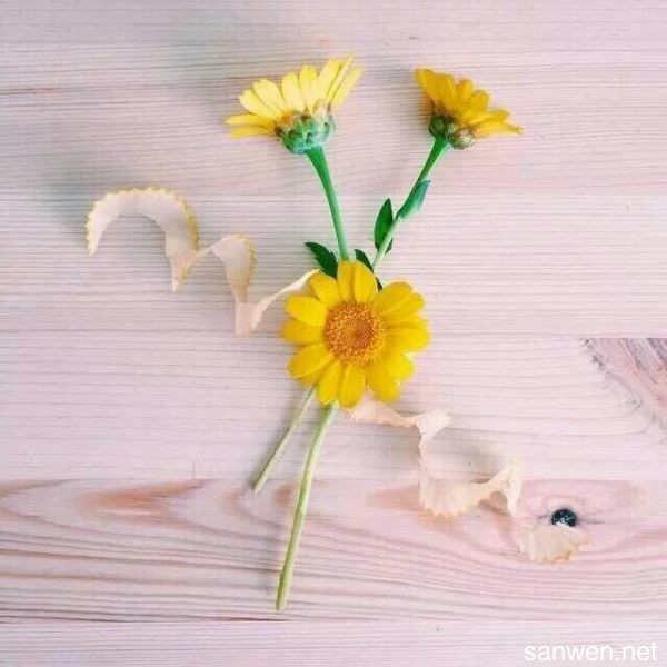 外国名人名言大全经典 快资讯