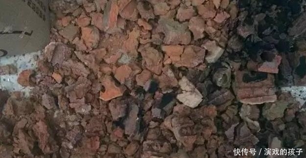 农村人都当垃圾的东西,城里人竟拿来种花,比营养土更好用!