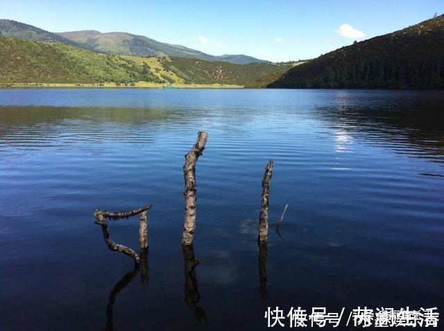 别再抢老钓位了，“秋老虎”鱼儿都藏在这，选这垂钓事半功倍