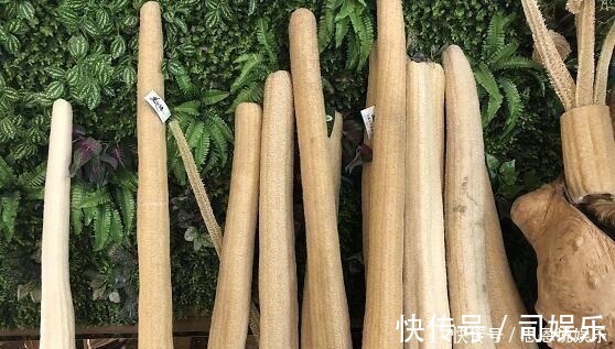 丝瓜网|一味丝瓜络，养生大功效！8大顶级妙用，极少人知道！中医都夸赞