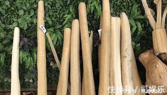 丝瓜网|一味丝瓜络,养生大功效!8大顶级妙用,极少人知道!中医都夸赞