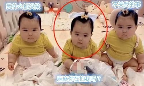 大战|三胞胎姐妹“纸巾大战”,现场一片狼藉,宝妈:能塞回去俩吗?