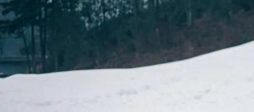 中年|杭州过年好去处