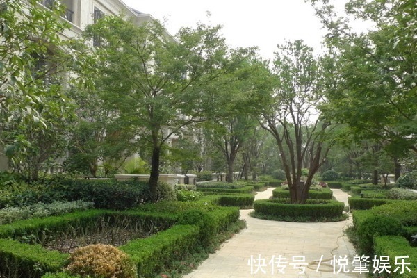 房地产|2021年新规开始执行,父母有房子的人需注意,以后继承全都这样办