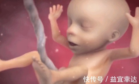 胎儿|除了睡觉,胎儿如何每天在肚子里都干啥宝宝小日子开心到飞起