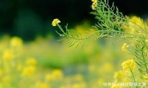 杨绛:物欲横流的社会,人不痛苦也难