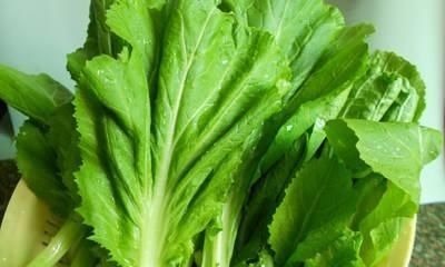 老少皆宜|这个蔬菜,钙含量是牛肉的30倍,却比牛肉便宜很多