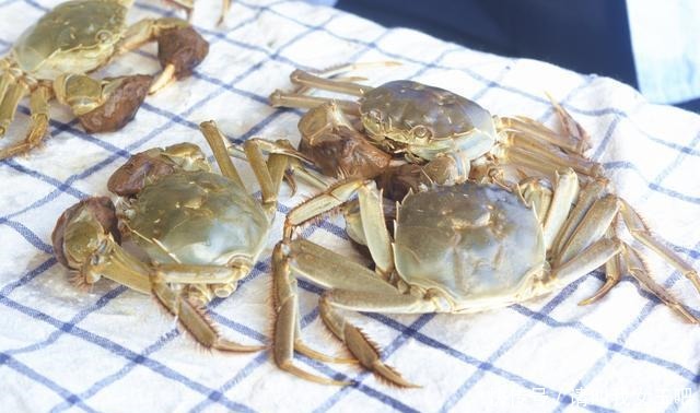 洗干净之后|清蒸螃蟹,热水下锅还是冷水可能和你想的不一样,教你正确蒸法