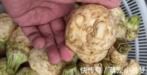 芹菜根|秋季，市场碰到它别错过，不用去皮，洗净加料一腌，比泡萝卜好吃