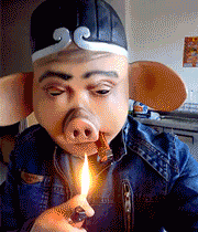 GIF|搞笑GIF：快看镜头，我要多拍几张留作纪念