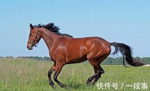 俎豆$李贺很冷门的一首送别诗,构思精巧,更显得别开生面