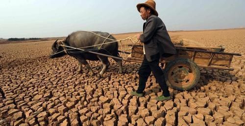 养花不死,全靠盆土,用这个土养花,能活几十年