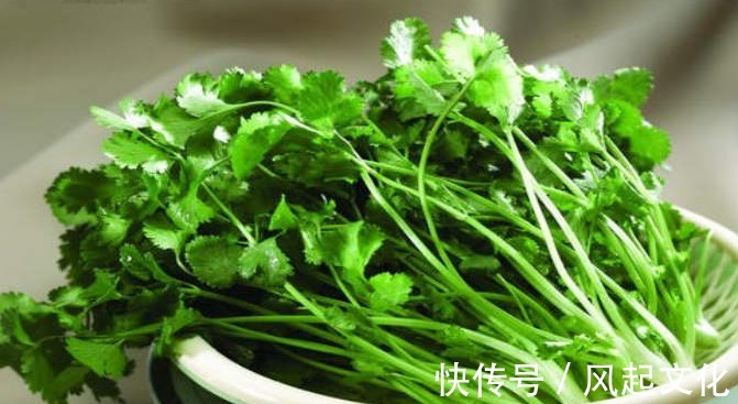 蘑菇|长寿的人都会“吃”,4种食物常吃,补充营养,疾病不来犯