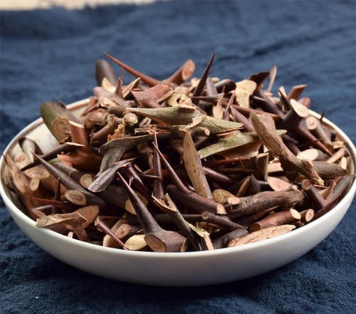 安徽中草药|一根皂角刺,治病大功效!4种妙用法,4大疾病,百治百效!