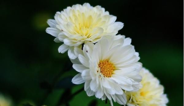 父母|孩子以后能否成大器,和成绩无关,这3句话点醒无数父母