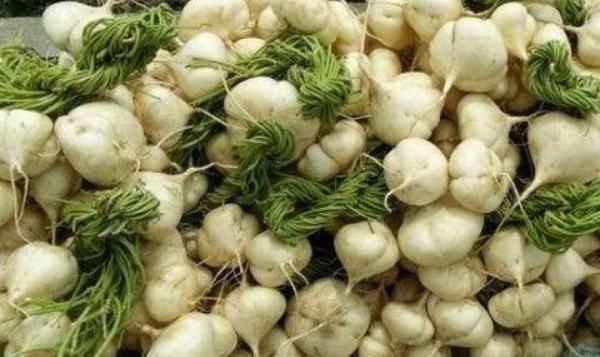 种子含毒根却被人广泛食用，南方人当水果吃，北方人当蔬菜