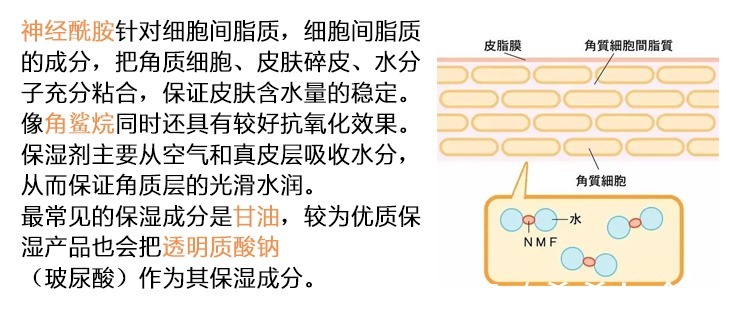 成分|一线孕妇护肤品到底值不值得买？值得万年回购的高端成分护肤品牌