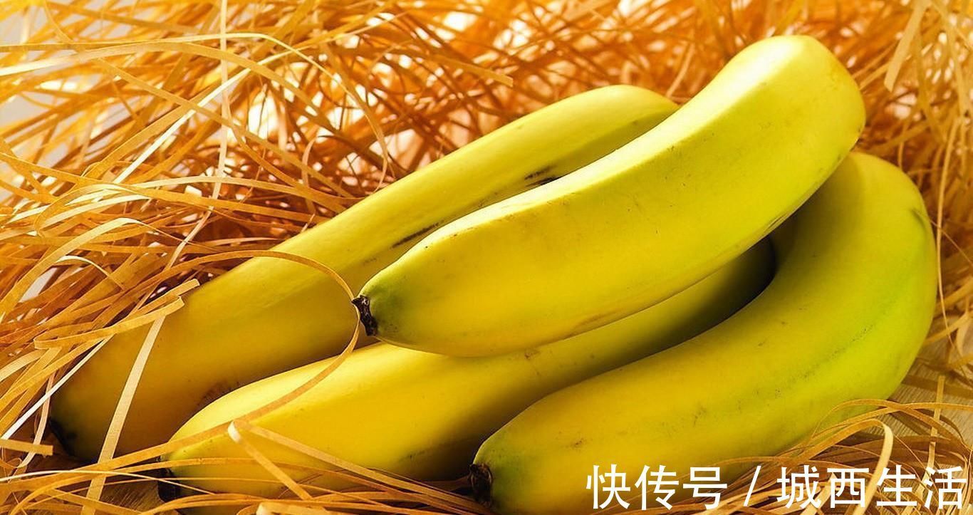 记忆力|李玫瑾教授:孩子的大脑从饮食上就会产生影响,3点坏习惯要改正