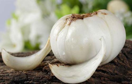 肾火|心火、胃火、肝火、肺火、肾火,各有不同,专家教你来灭火