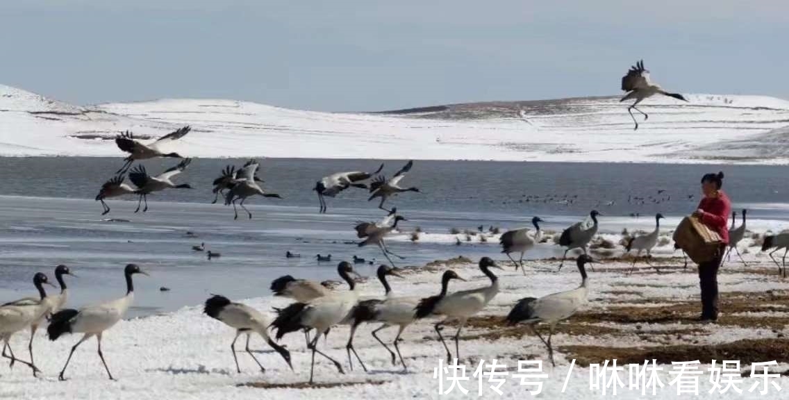 乘班车|云南昭通大山包攻略！看一篇就够了