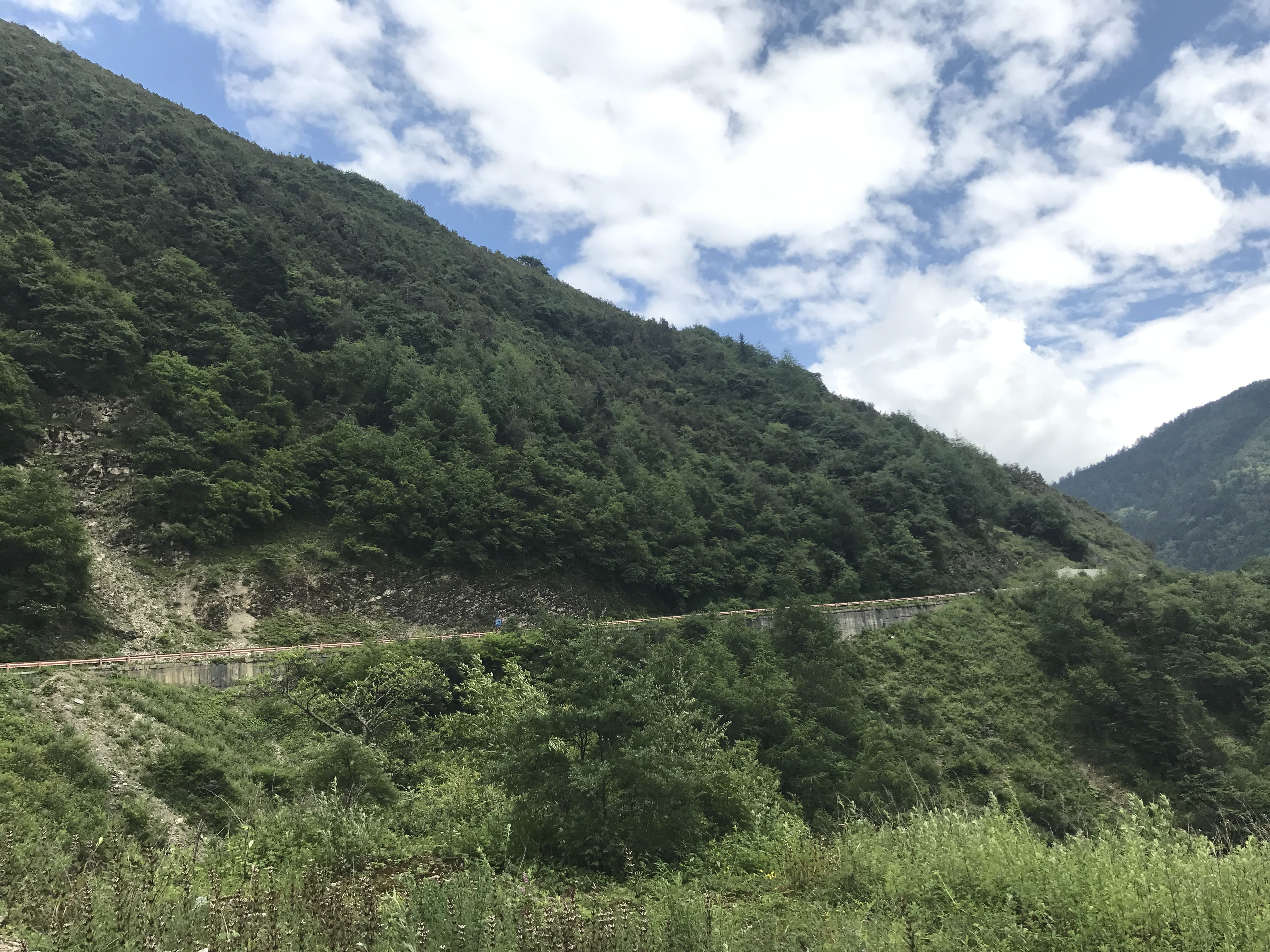 草坪|川西自驾游，美景看不够