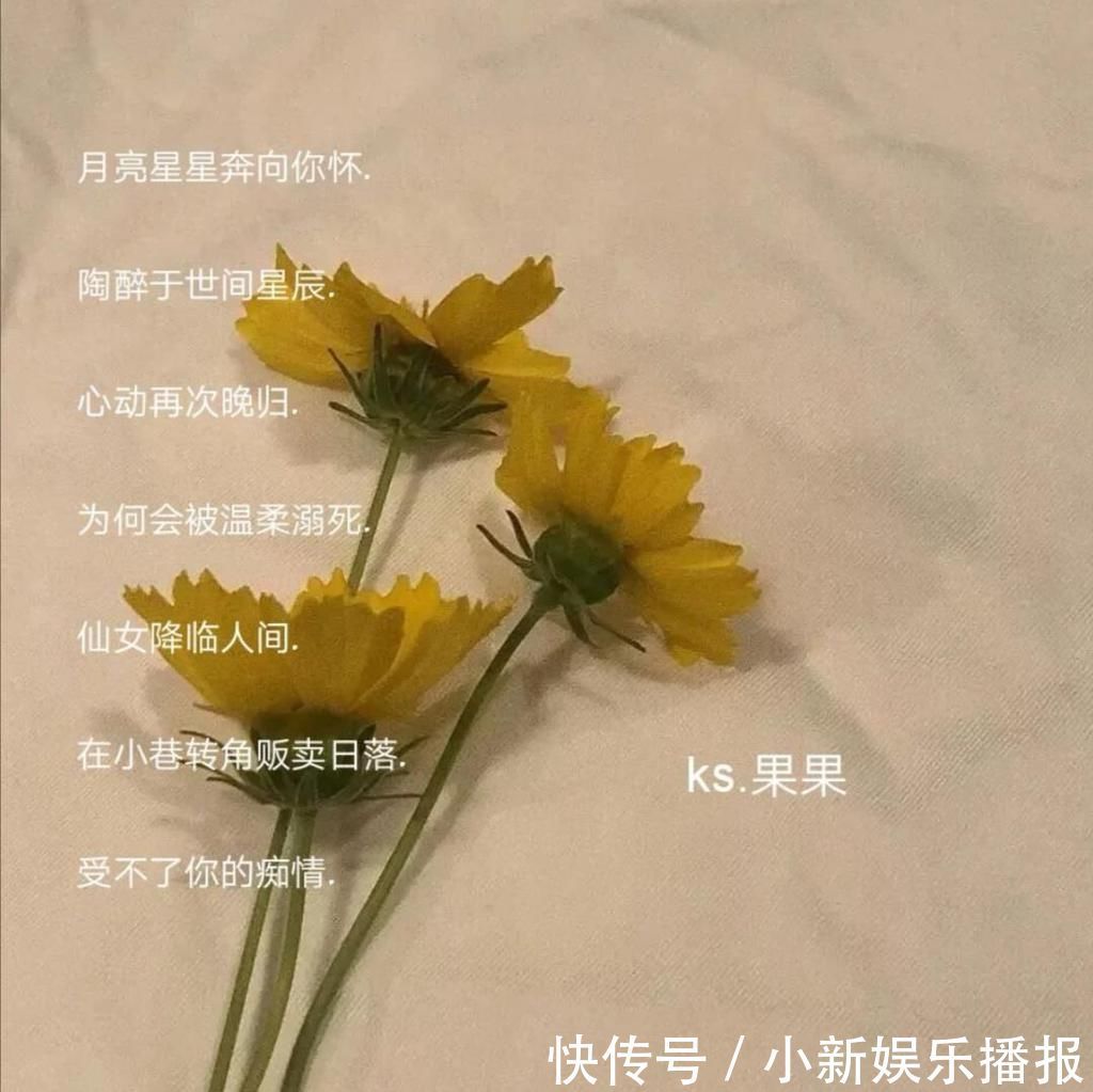 r原宿风网名“别把开头说的太动人毕竟我们都喜欢结局”