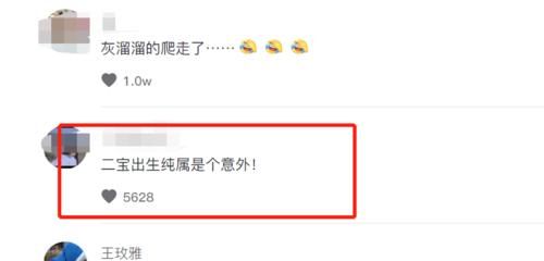 姐姐|“混得最惨的二胎”：弟弟爬去找姐姐玩，被爸爸像垃圾一样拎开