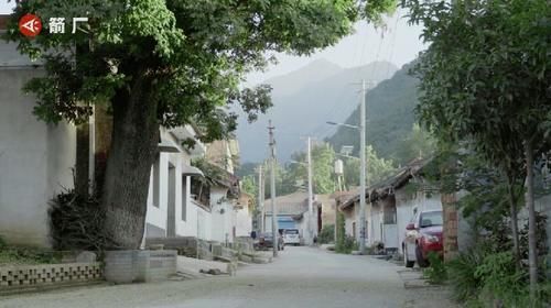 离开|住山10天，我决定离开终南山