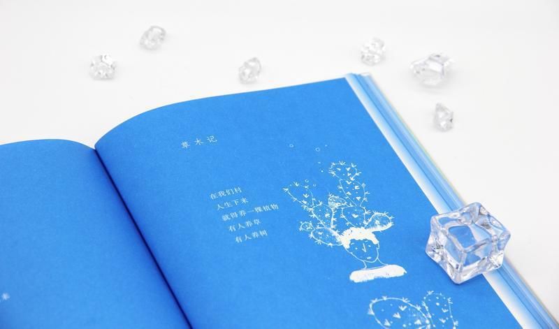 诗歌|著名诗人张进步二十年诗歌精选《那天晚上,月亮像一颗硬糖》出版