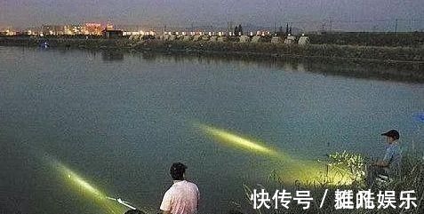 垂钓|夜钓鲤鱼,真的不用吹,这套钓法最管用,大鲤鱼接连入护