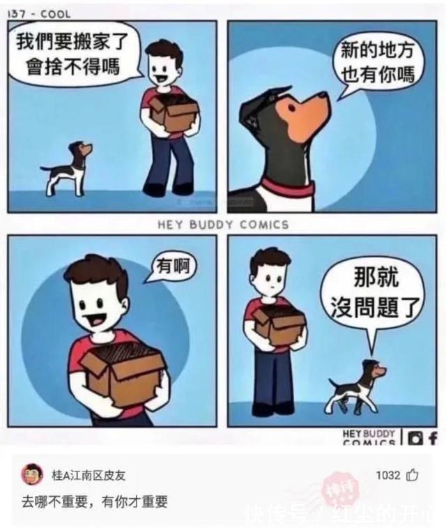 |搞笑到爆的回复,网友们的回复个个都神了