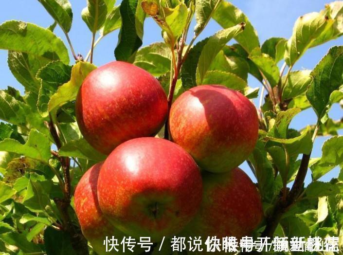 陳醫師|想長壽得會吃，三種種食物要多吃，疏肝理氣、舒緩壓力，誰吃誰健