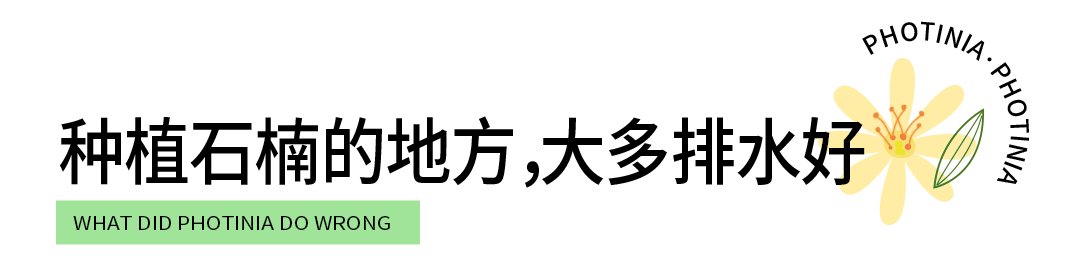 天呐！十堰街头飘出“不可描述”的气味，竟然是......