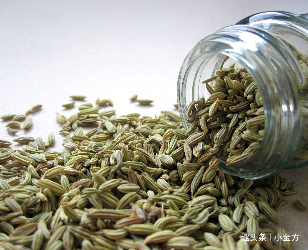 大茴香|疼的你死去活来的“痛经”,一把茴香搞定,老中医说的办法请收好