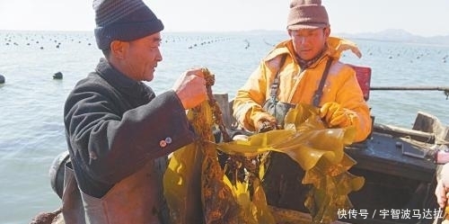 被称为肠道蠕动的加速器的1种菜,降脂、减肥,昨天你刚吃过